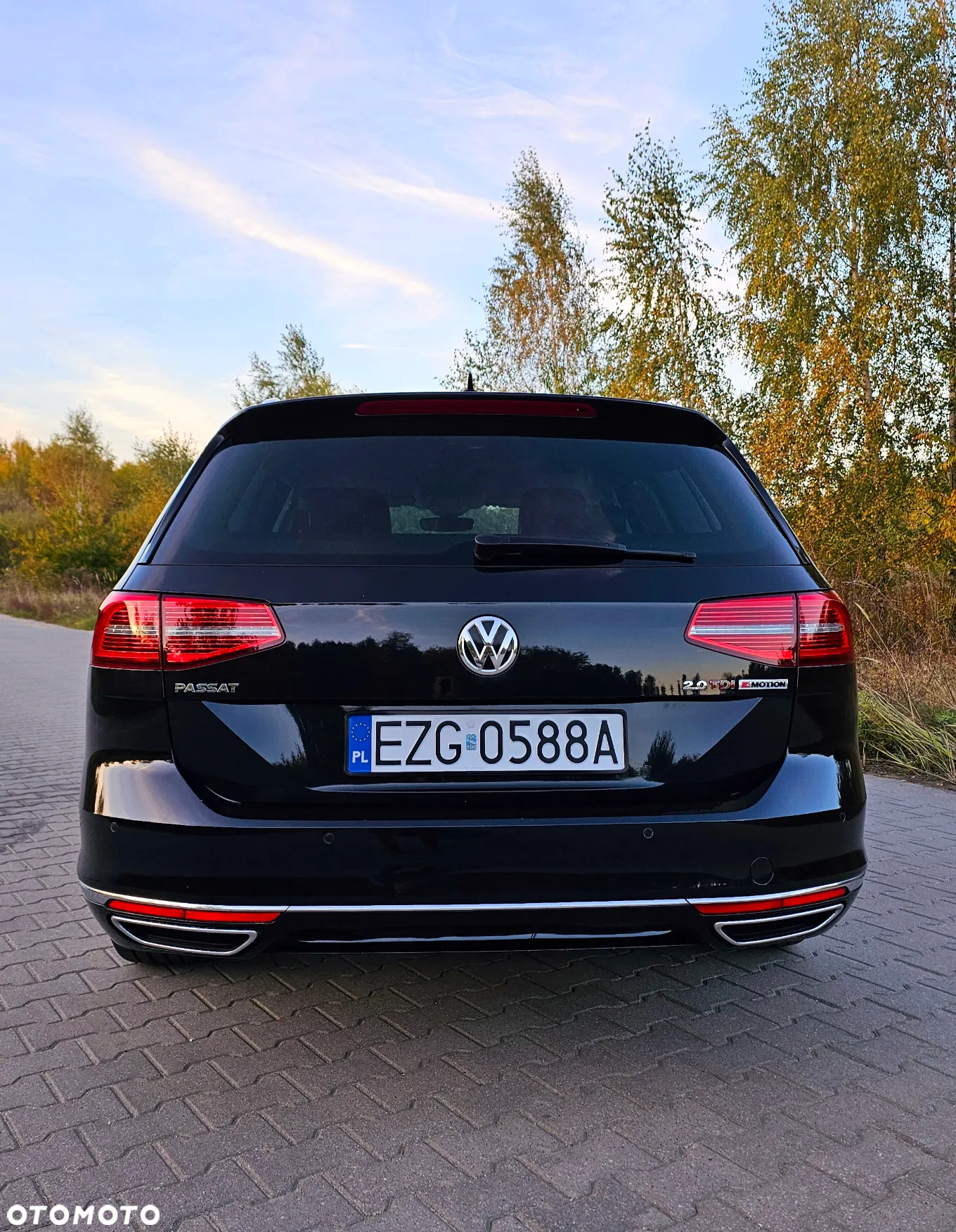 Volkswagen Passat 2.0 TDI Bi-Turbo BMT 4Mot Highline DSG - 3