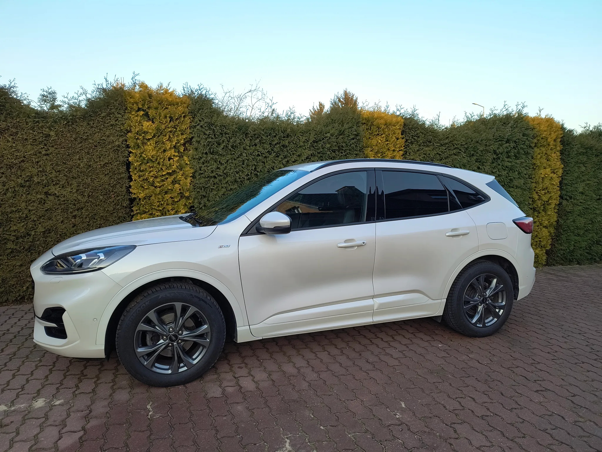 Ford Kuga 1.5 EcoBoost FWD ST-Line X - 3