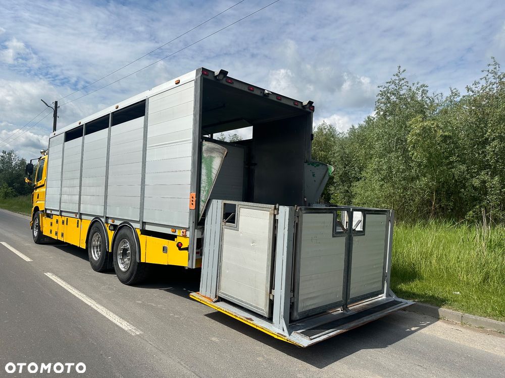DAF CF 440  DO BYDLA -ZWIERZAT -ZYWCA - 10