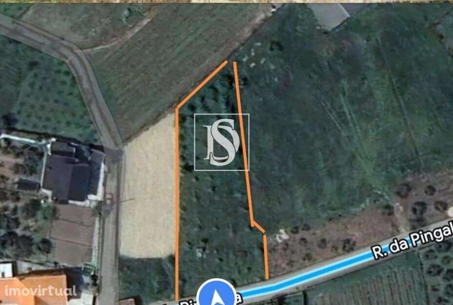 Terreno  Venda em Ferreirim,Lamego - Grande imagem: 2/2