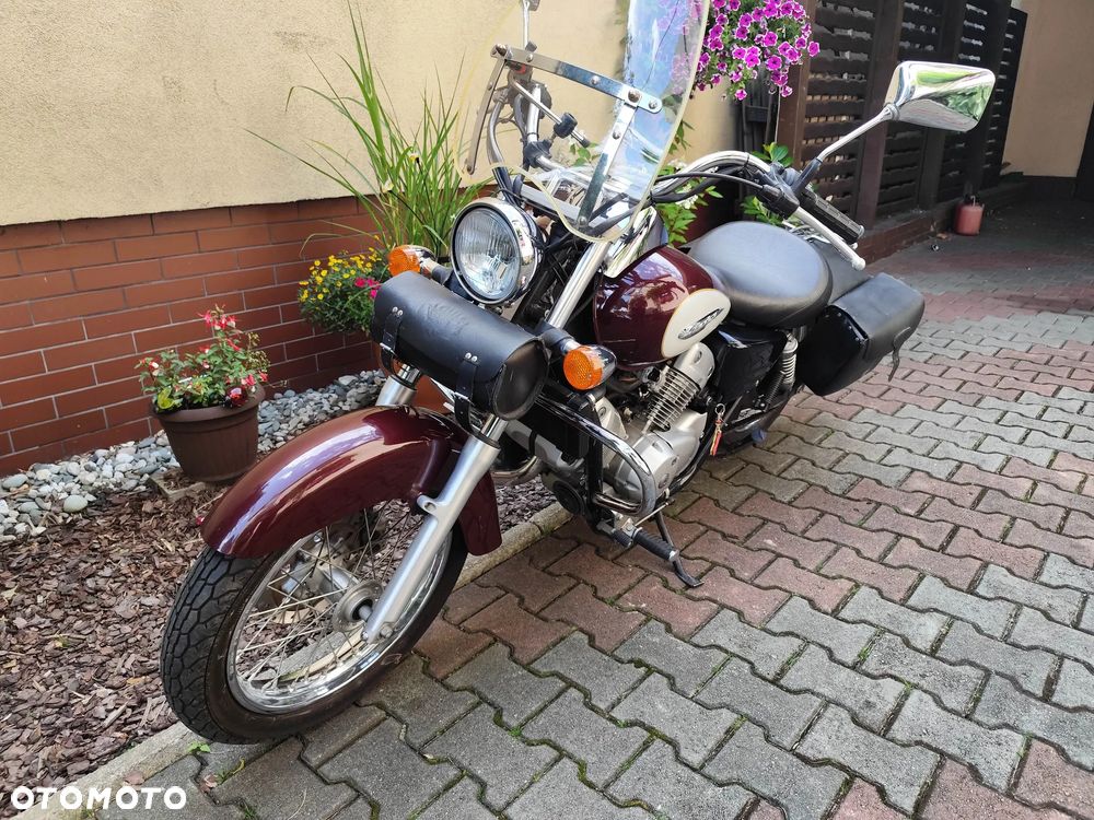 Honda Shadow - 11