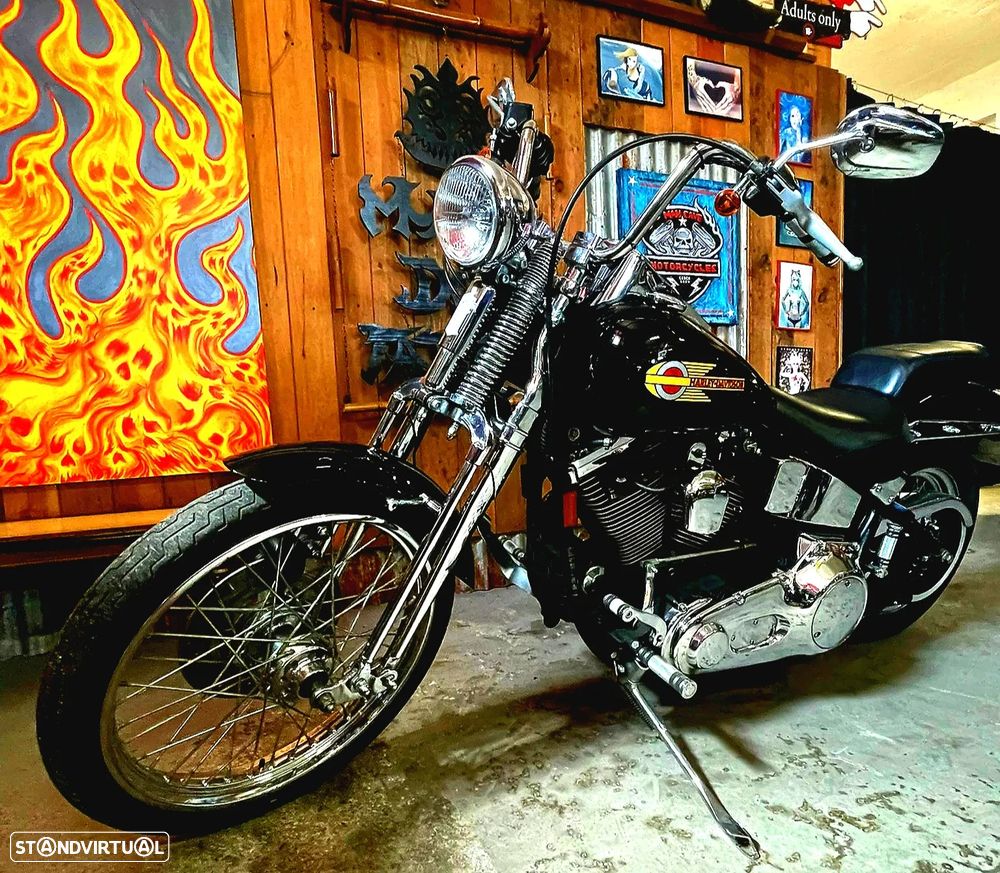 Harley-Davidson FXSTC SOFTAIL STANDARD - 2