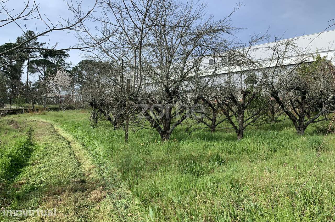 Terreno Urbanizável - Grande imagem: 4/16