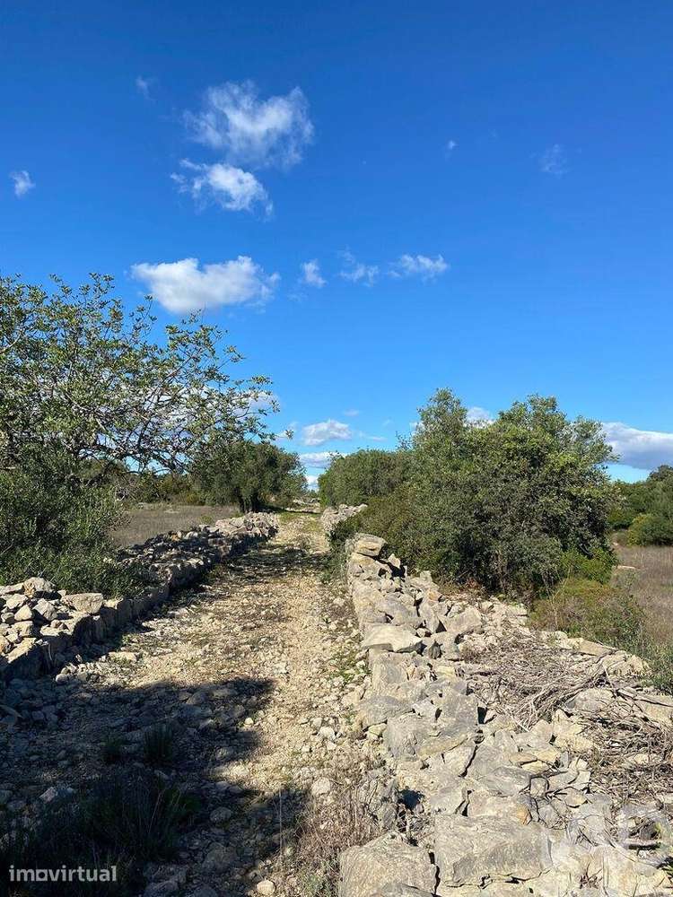 Terreno Agrícola em São Brás de Alportel de 7100,00 m2 - Grande imagem: 2/15