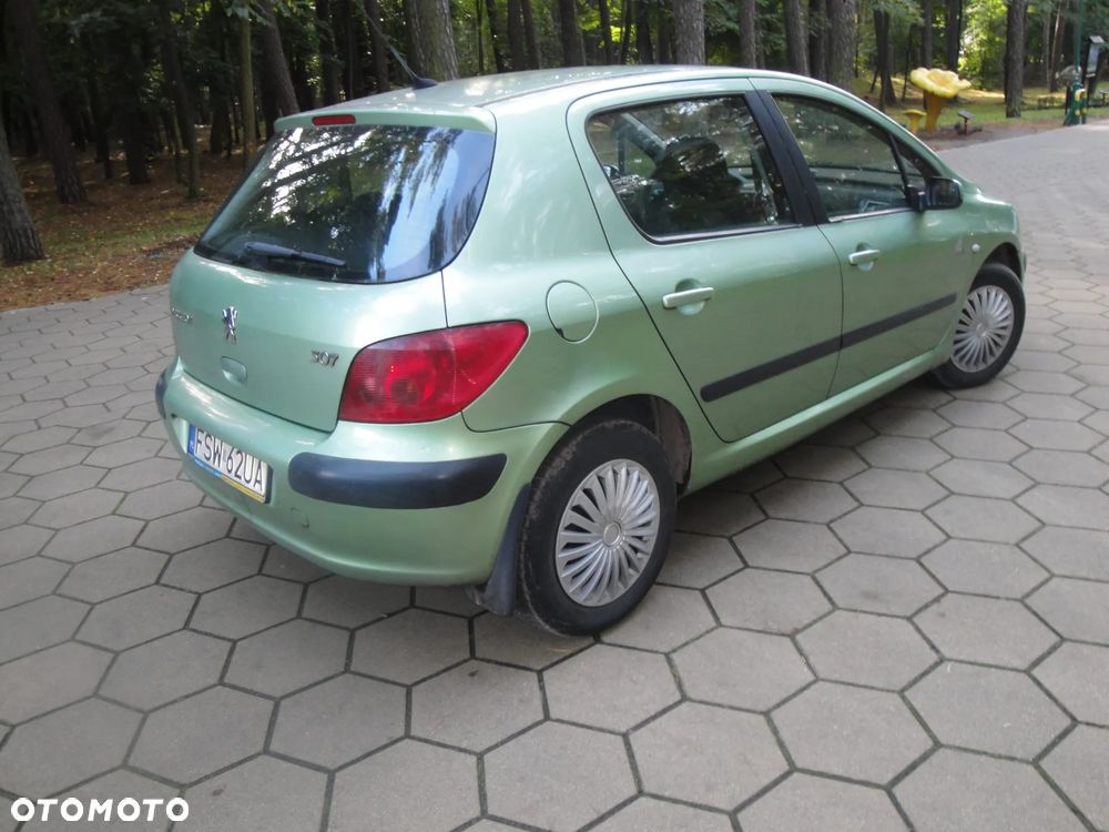 Peugeot 307 1.6 XS Class - 5