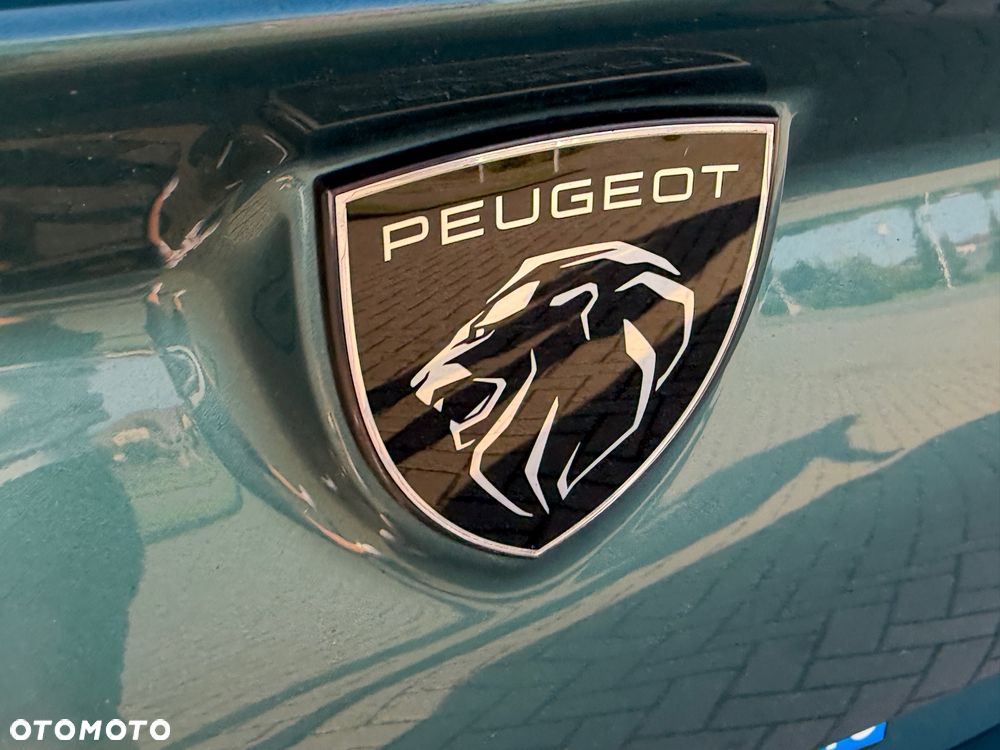 Peugeot 308 - 19