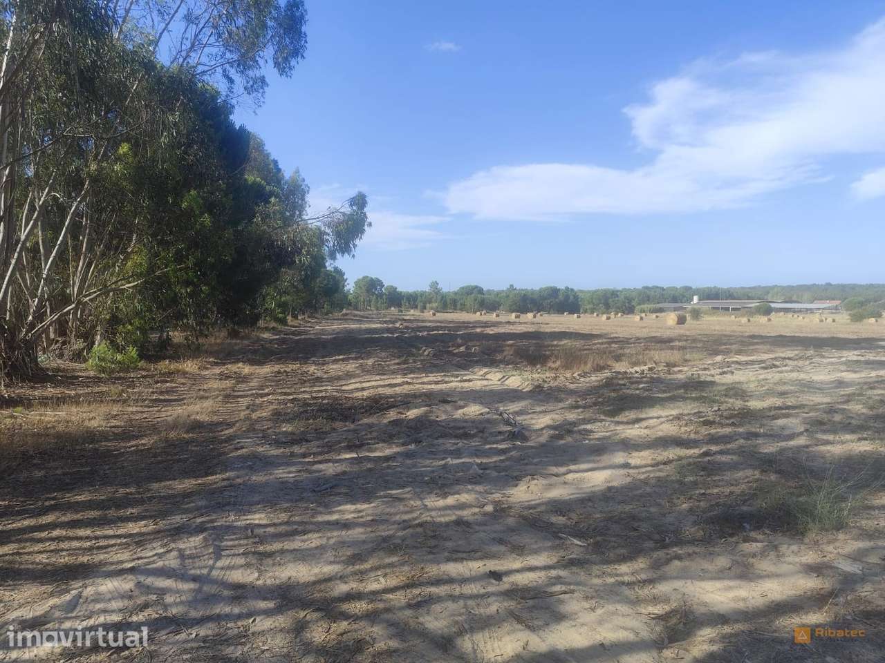Terreno Para Construção  Venda em Branca,Coruche - Grande imagem: 3/7