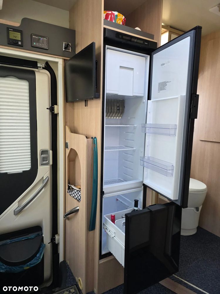 Giottiline Siena - 10