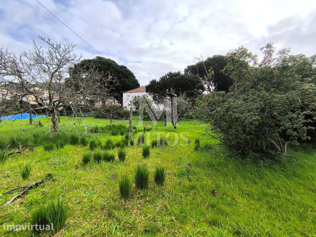 Quinta com terreno em zona de construção - Darque - Grande imagem: 5/15