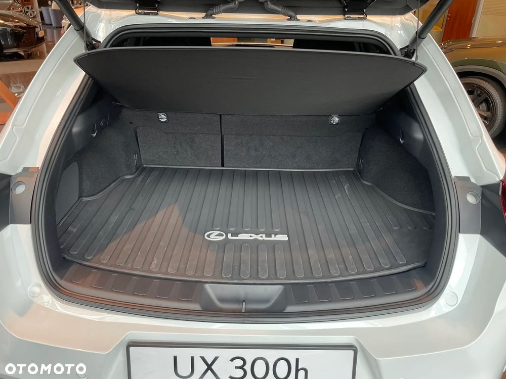 Lexus UX 300h F Sport Design - 6