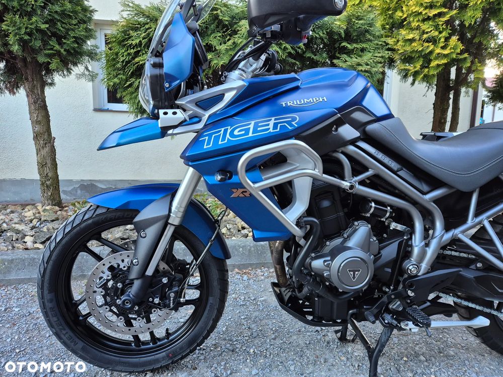 Triumph Tiger - 4