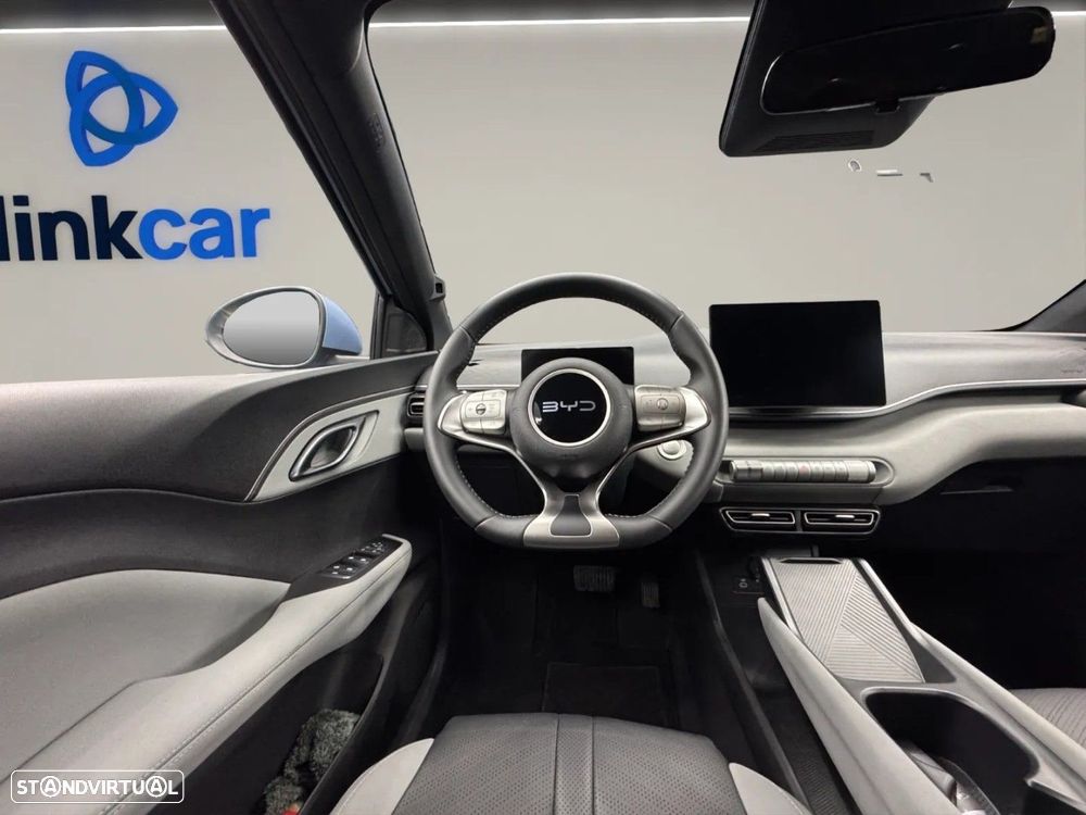 BYD Dolphin Surf - 9