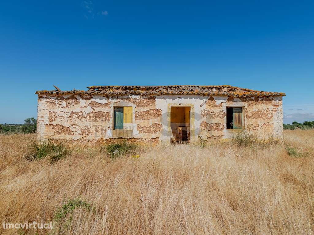 Pequena Quinta com Ruína para Recuperar em Vila Nova de São Bento - Grande imagem: 2/28