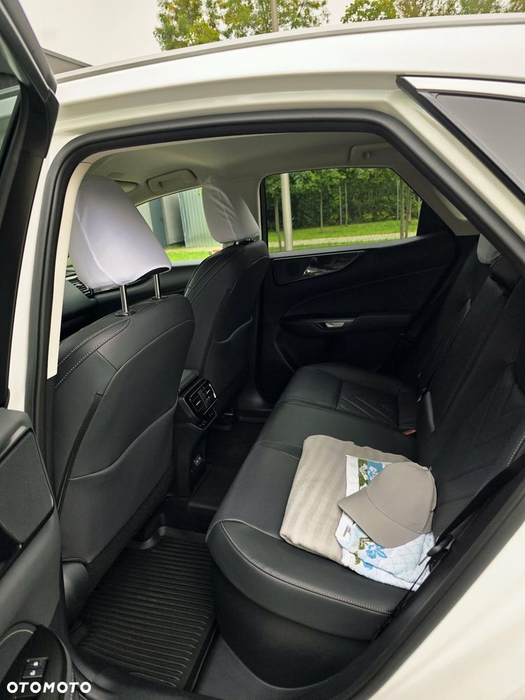 Lexus NX - 12