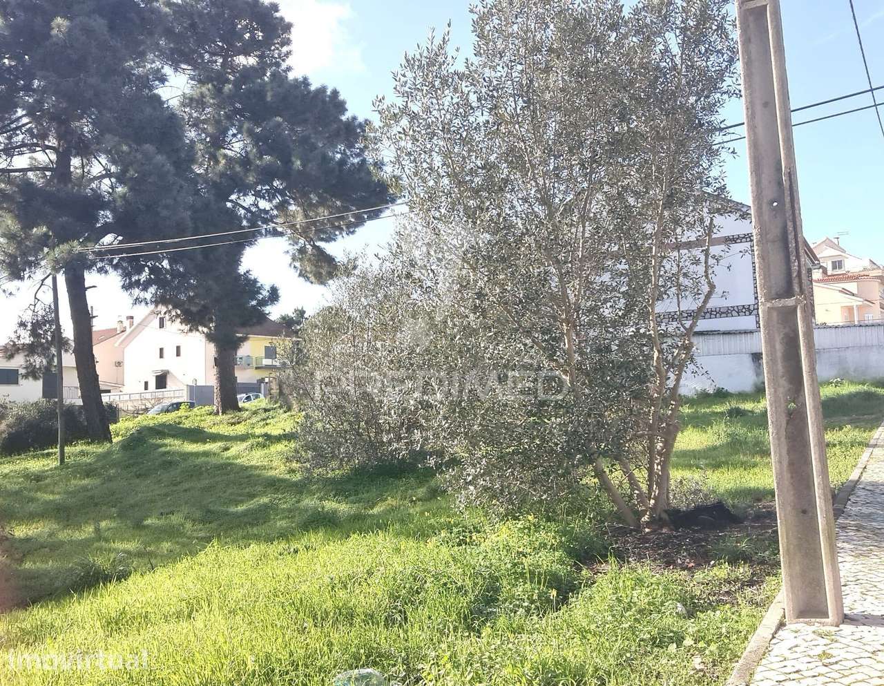 2 Lotes Terrenos Urbanos - Grande imagem: 2/10
