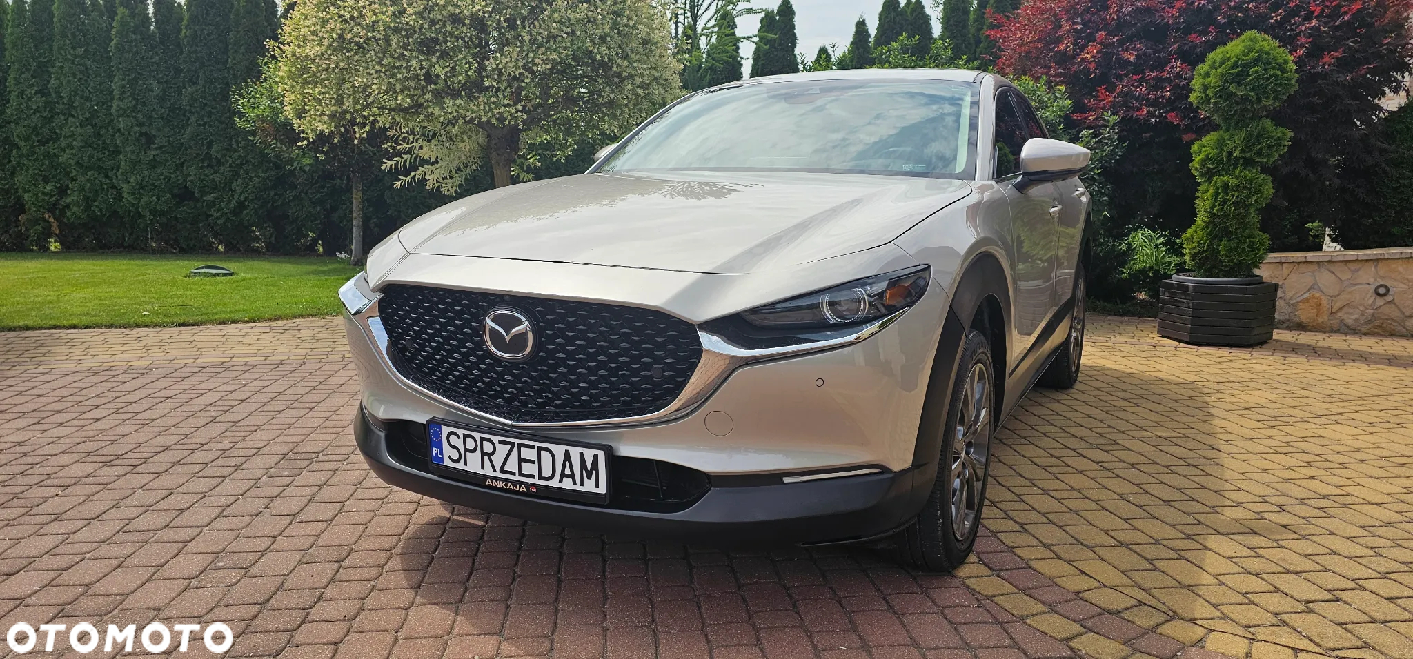 Mazda CX-30 ver-e--skyactive-x-186-skyactiv--drive-exclusive--line - 7