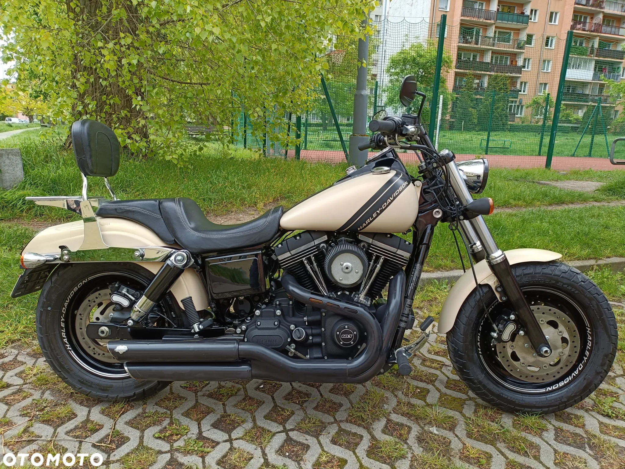 Harley-Davidson Dyna Fat Bob - 2