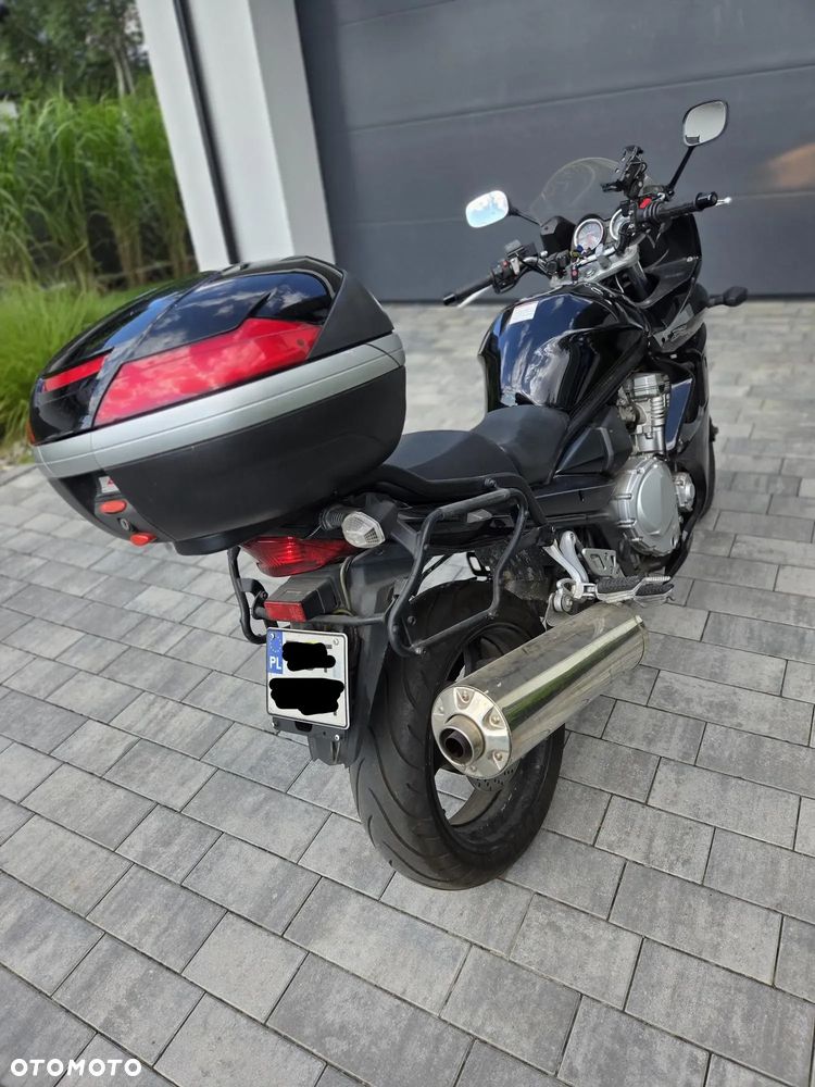 Suzuki Bandit - 3