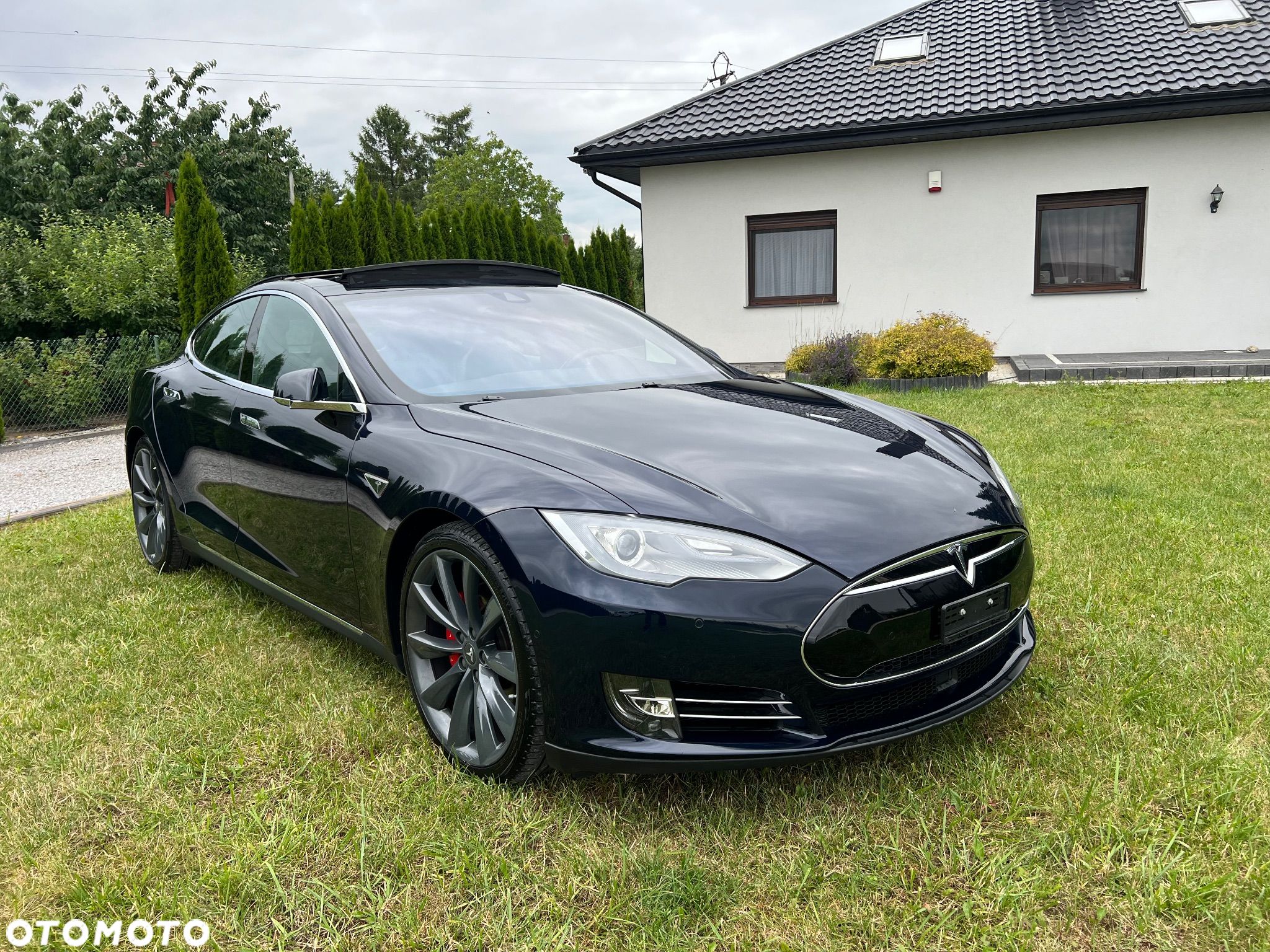 Tesla Model S Performance - 1