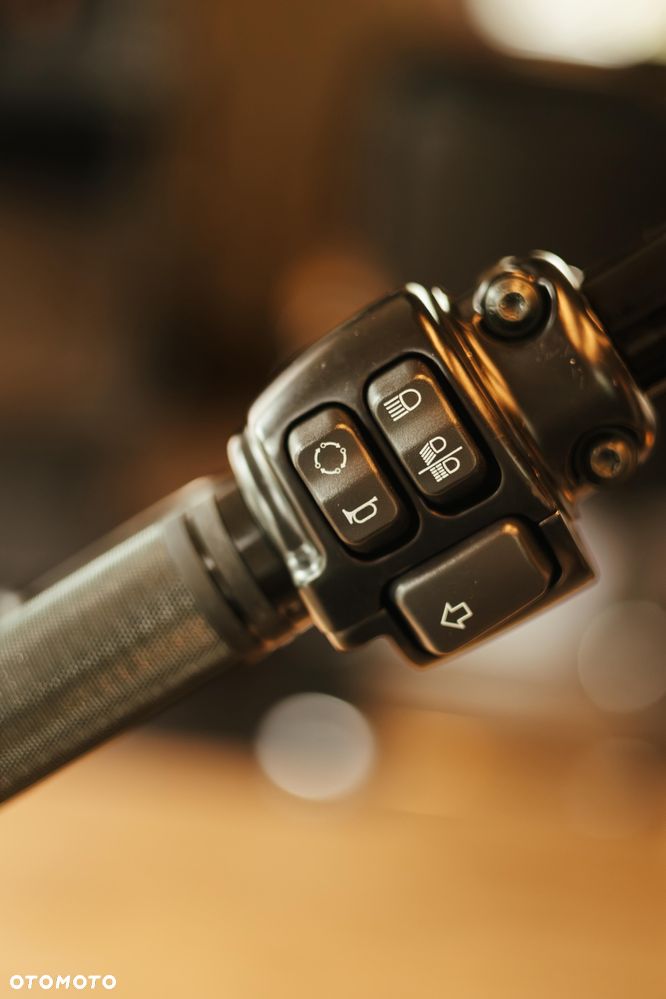 Harley-Davidson Softail Blackline - 20