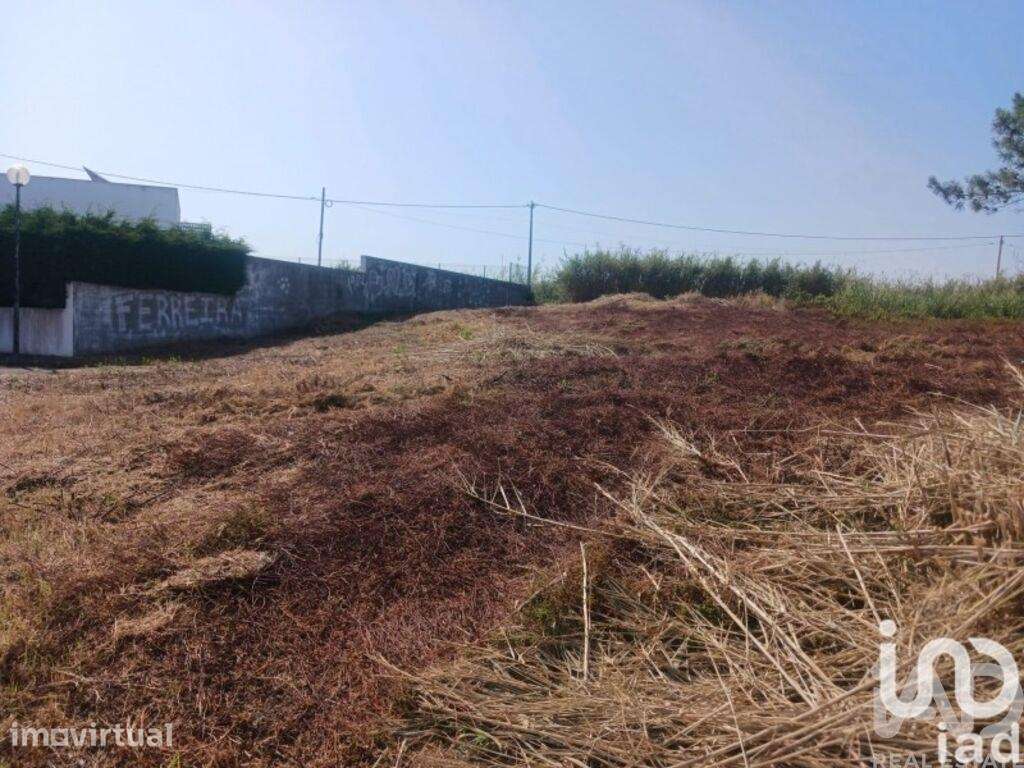 Terreno para construção em Lourinhã e Atalaia - Grande imagem: 5/17