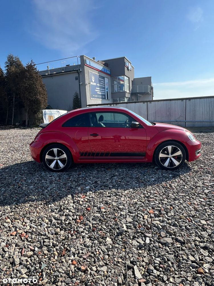 Volkswagen Beetle - 8