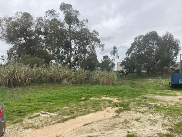 Terreno industrial para venda no Cartaxo - Grande imagem: 3/4