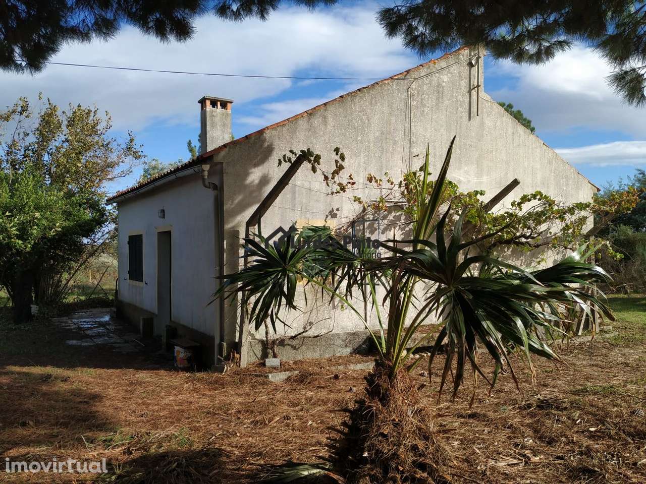 Excelente Quinta com habitação - Grande imagem: 2/29