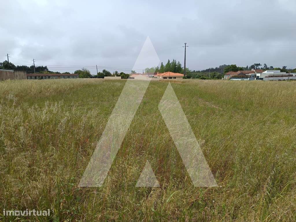 Terreno para Construção de moradia - Grande imagem: 3/4