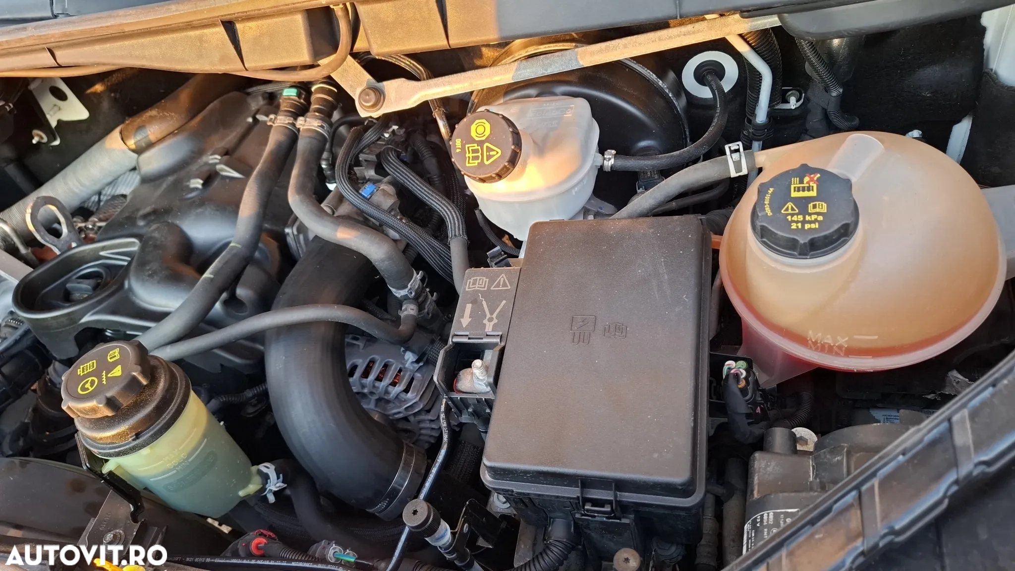 Ford Transit - 18