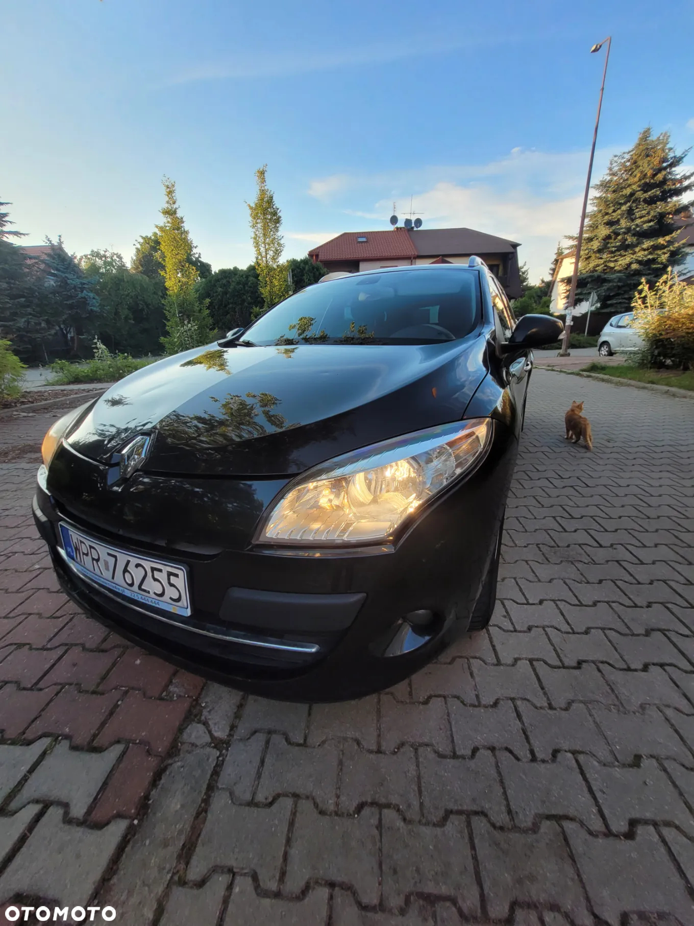 Renault Megane 1.9 dCi Dynamique - 4