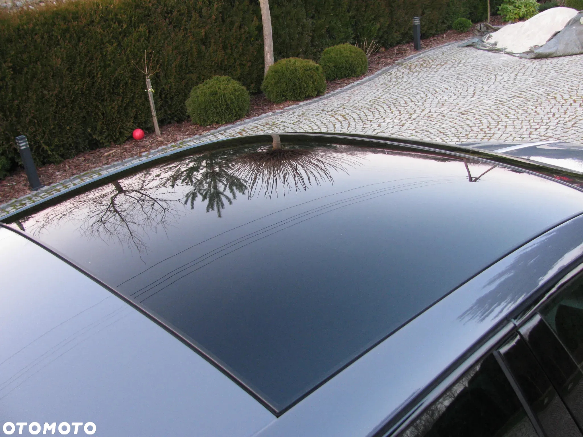 Cupra Leon - 19