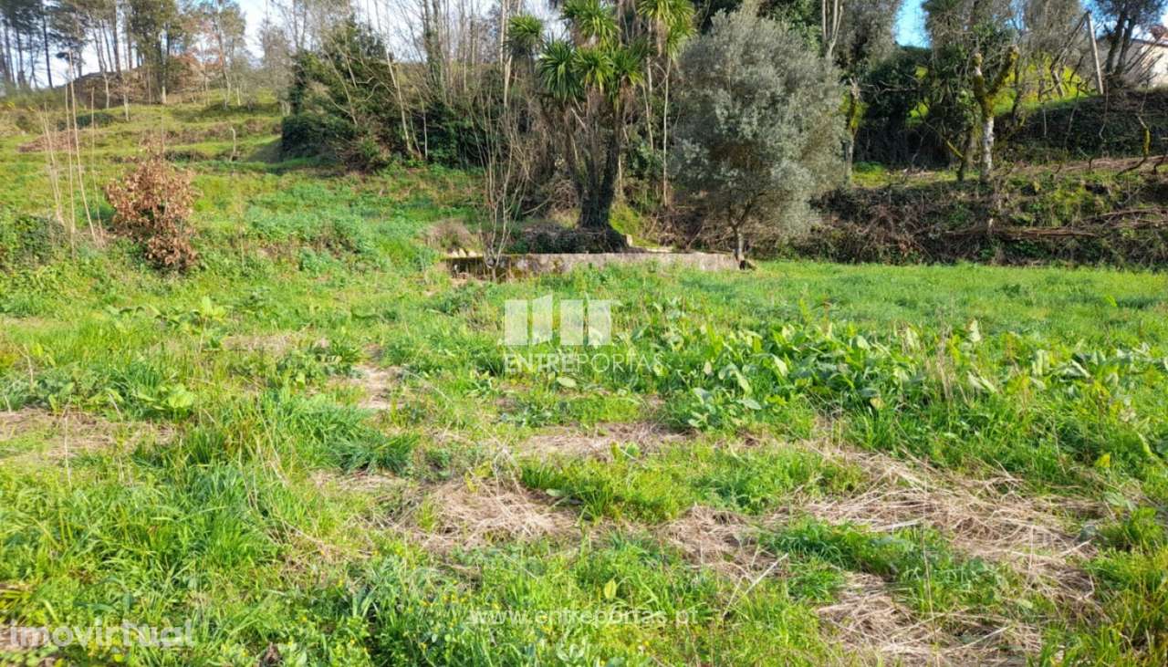 Venda Terreno, Gatão, Amarante - Grande imagem: 5/30