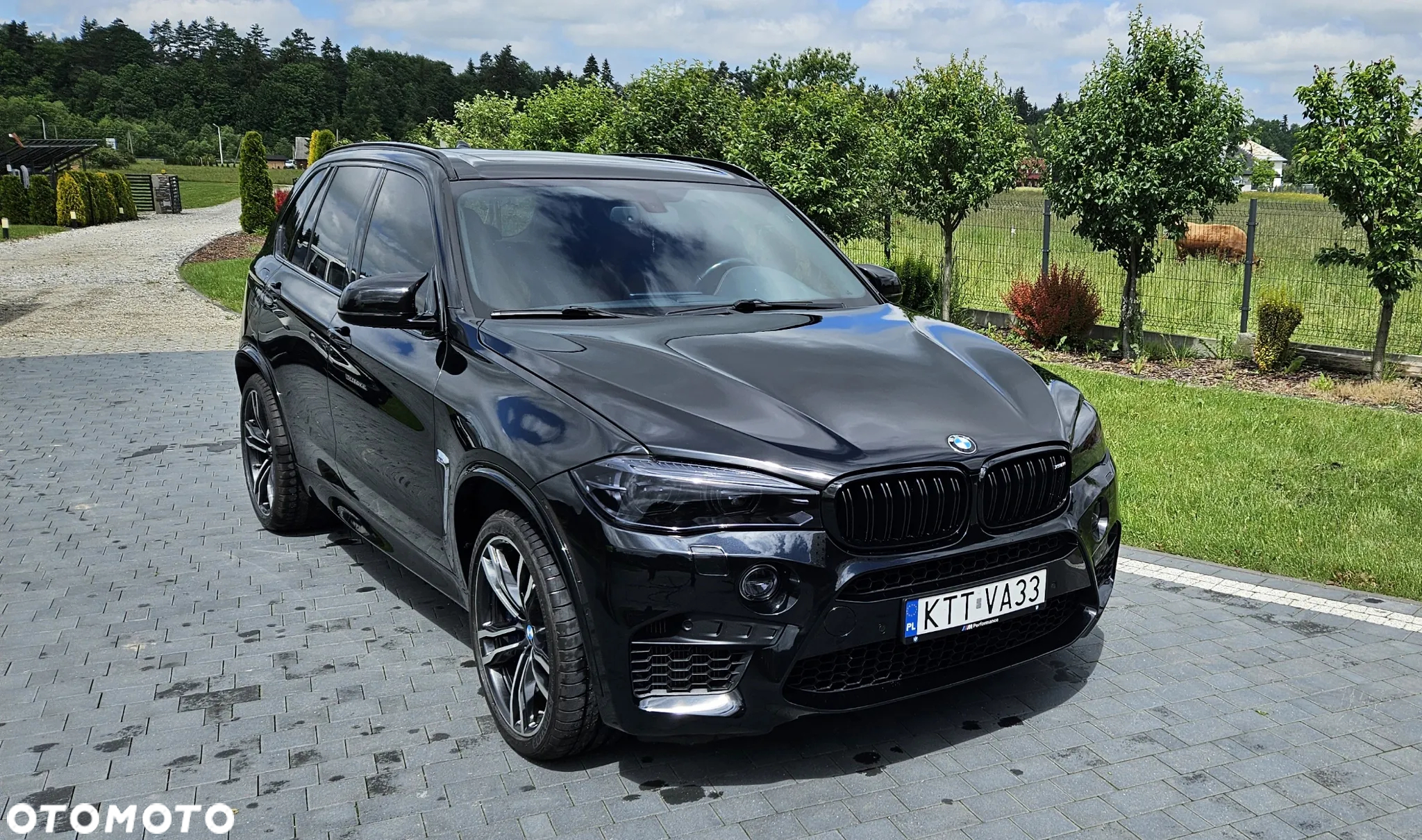 BMW X5 X5M - 3