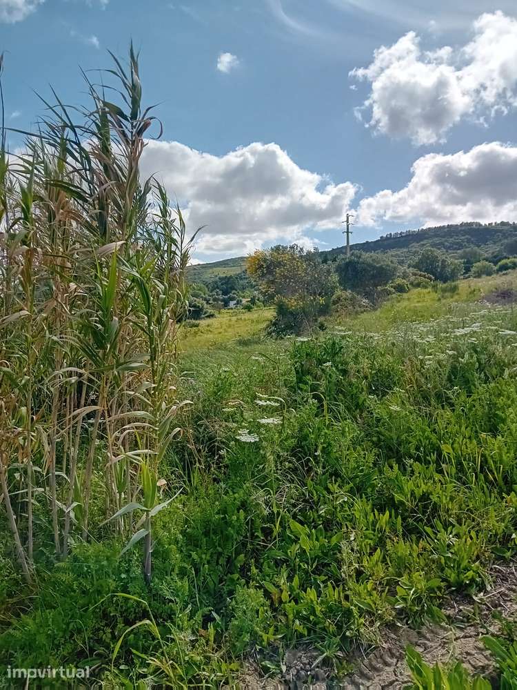 Arruda dos Vinhos - Terreno Rústico - Venda/Permuta - Grande imagem: 2/4