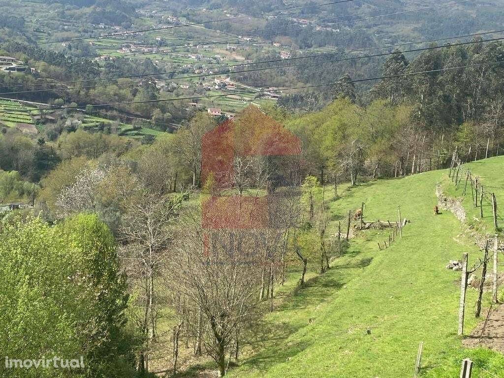 Terreno agrícola / florestal, Barros - Grande imagem: 3/43