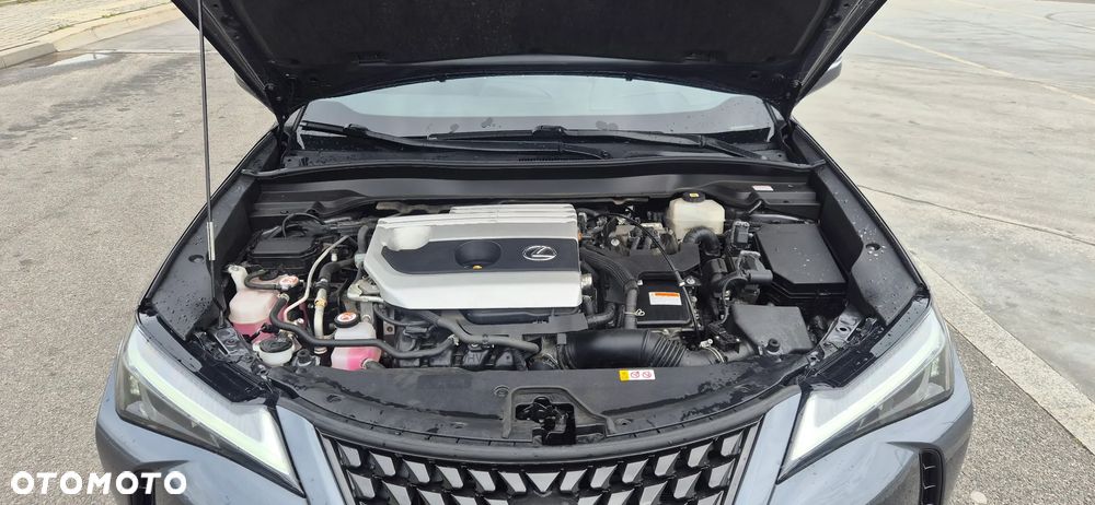 Lexus UX 250h - 9
