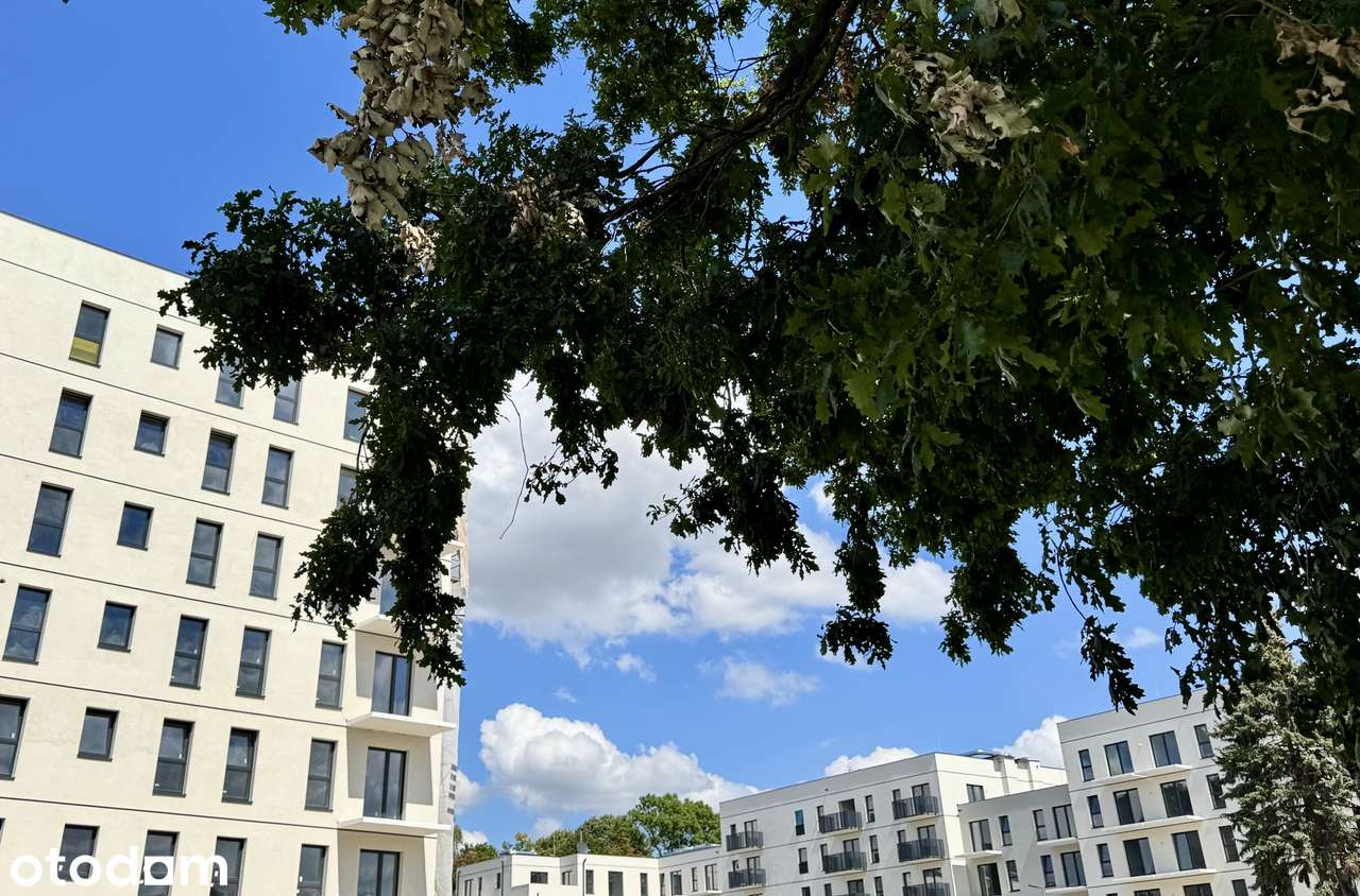 Nowe na już | Ogródek | Centrum | Galeria Olimp | Uczelnie | Sklepy