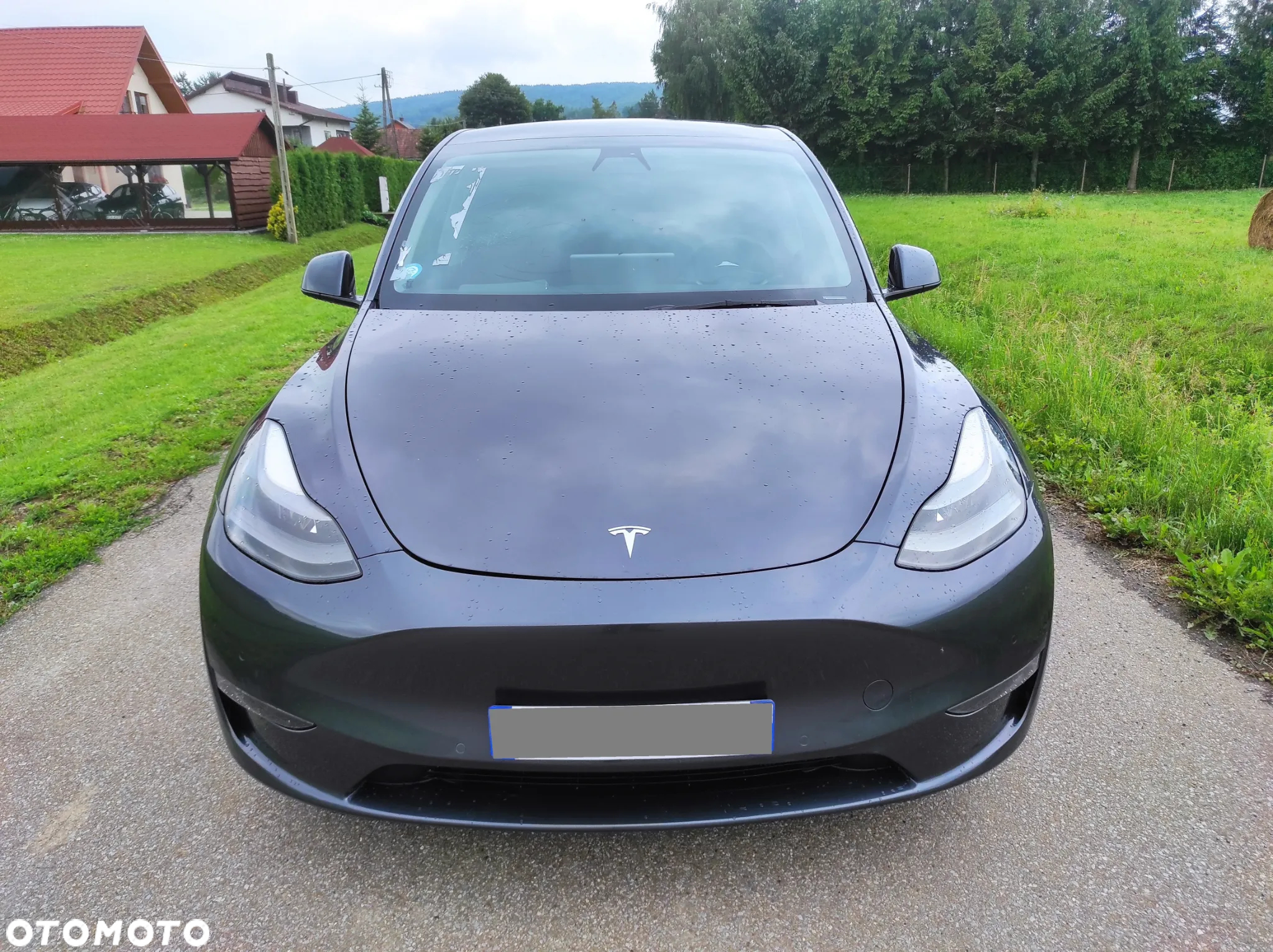 Tesla Y Model RWD - 2