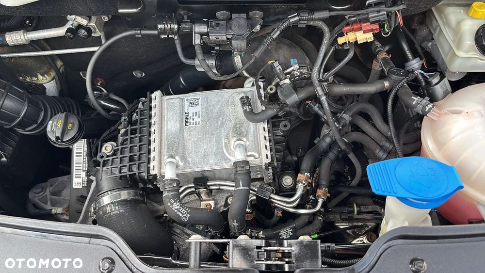 Volkswagen Transporter T6 - 25