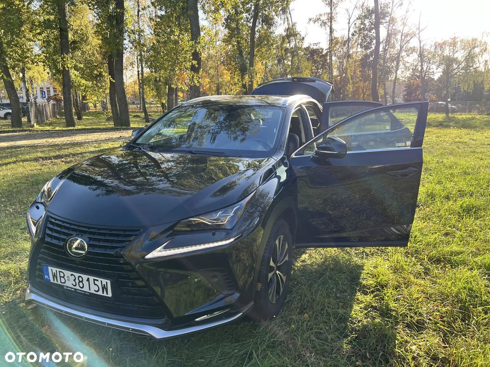 Lexus Nx 2021 photo 4