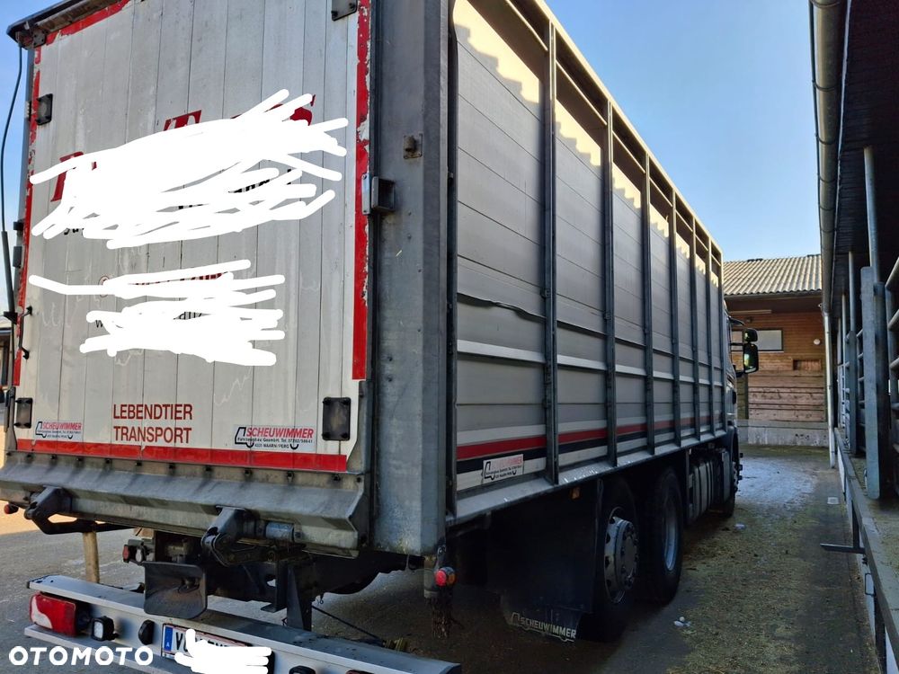 MAN TGX 18.400 DO ŻYWCA / ZWIERZĄT / BYDŁA / Z NIEMIEC / - 3