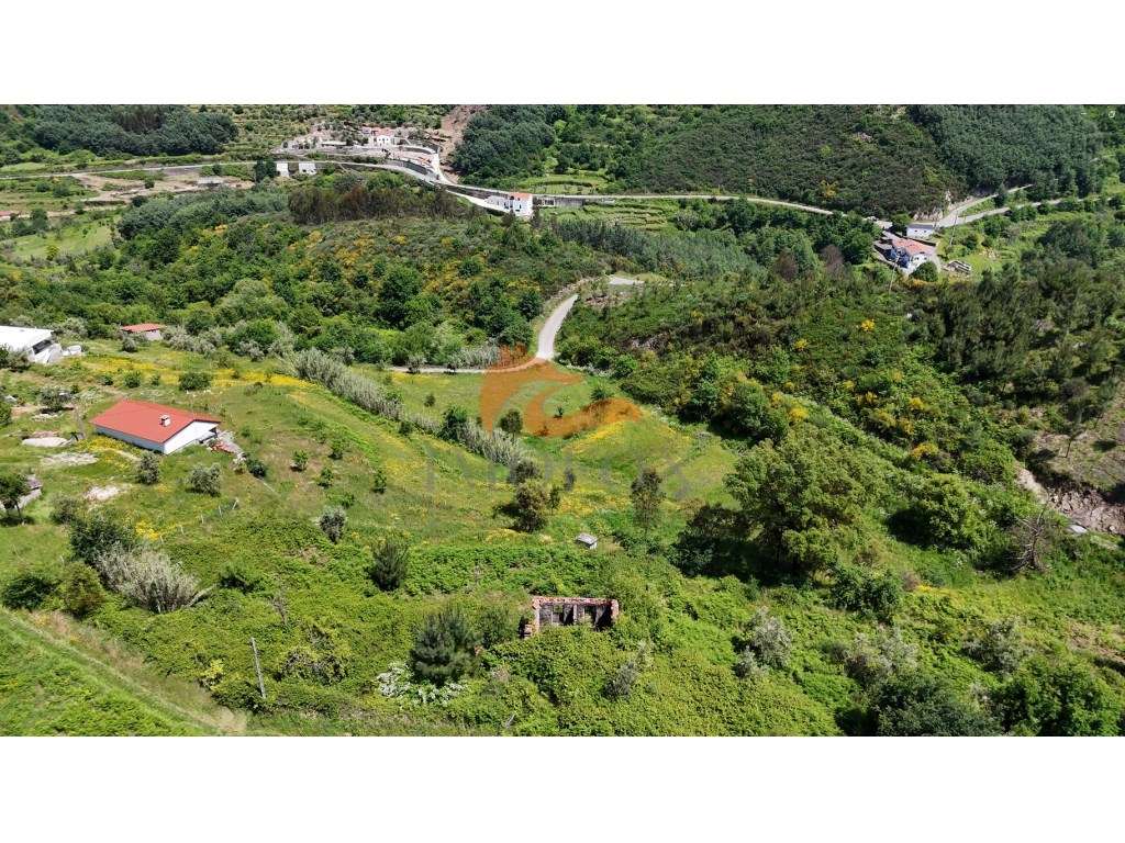 Quinta isolada na vila de Avô, Oliveira do Hospital - Grande imagem: 5/8
