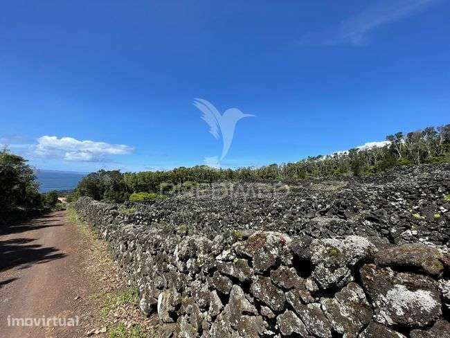 Terreno à venda em Candelária, Madalena do Pico - Grande imagem: 5/13