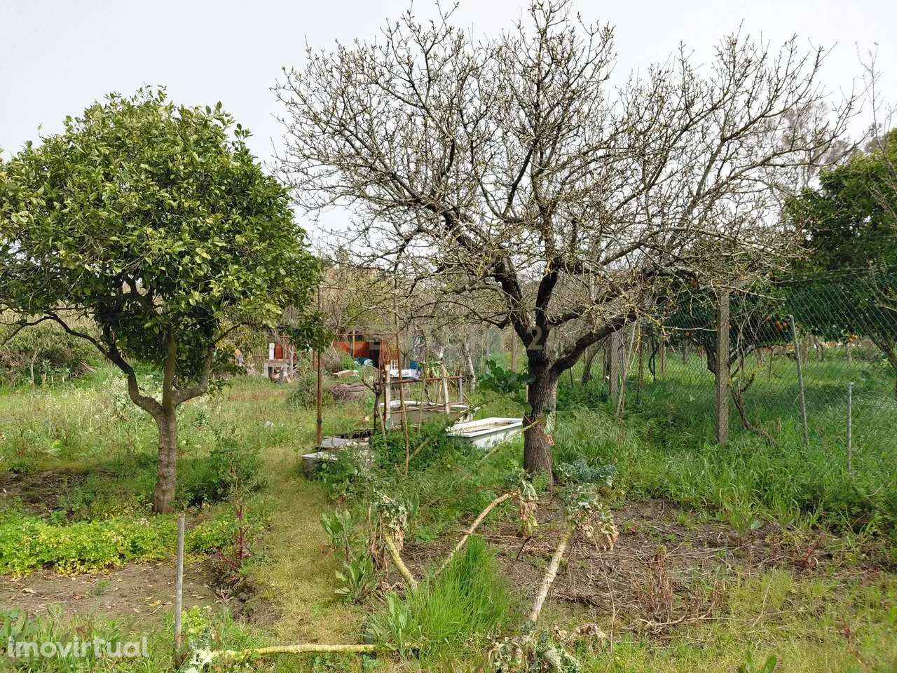 Terreno Rústico com 630m2 - Junto ao "Almada Fórum" - Grande imagem: 4/14