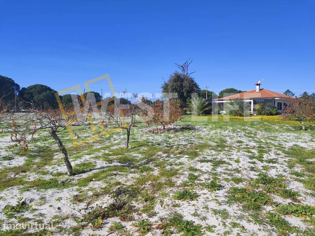 Herdade situada em pleno coração alentejano - 15 Hectares de terren... - Grande imagem: 3/23