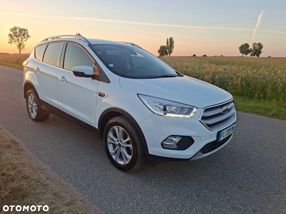Ford Kuga 1.5 EcoBoost FWD Edition ASS GPF - 17
