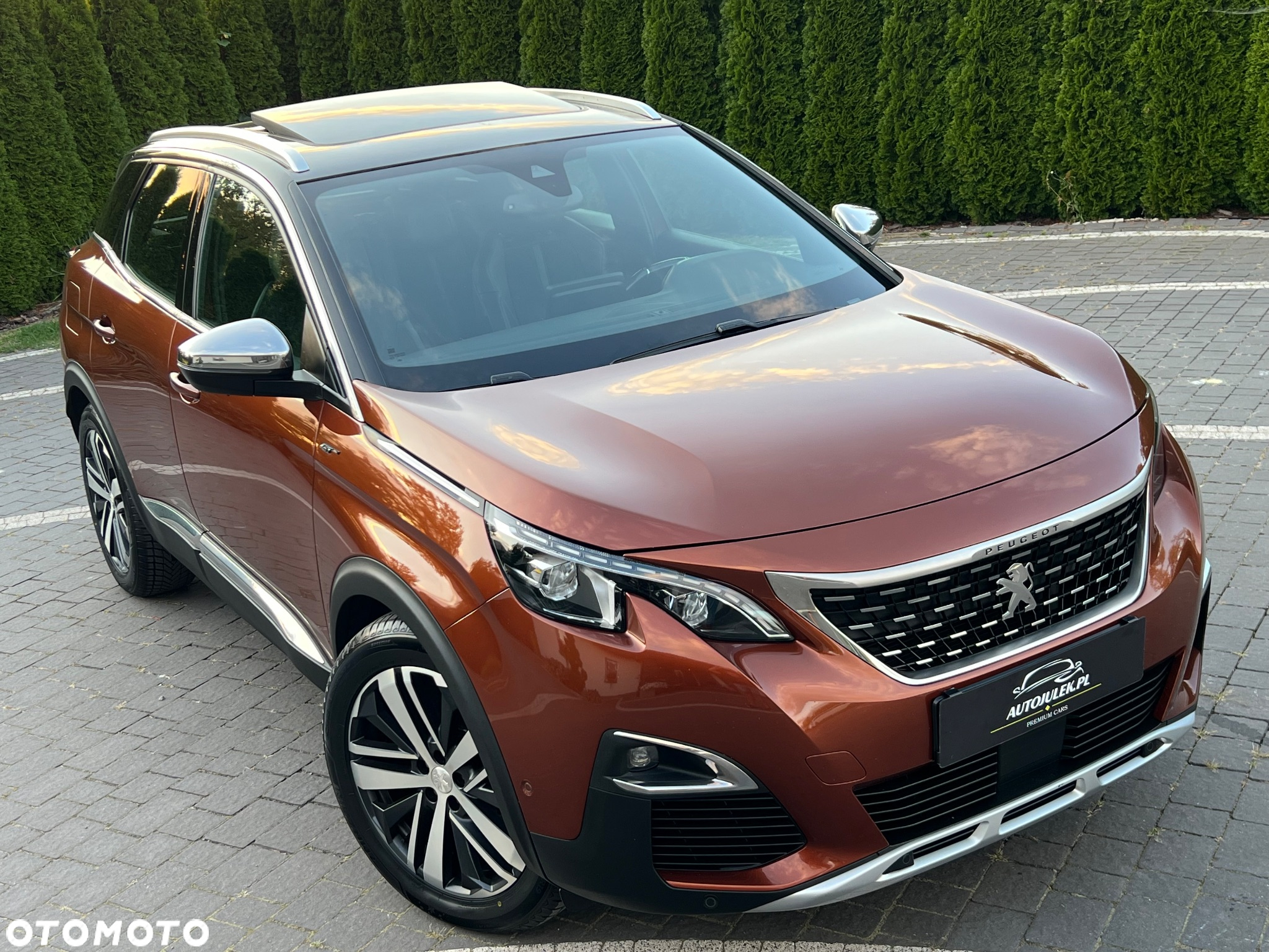 Peugeot 3008 2.0 BlueHDi GT S&S EAT6 - 18