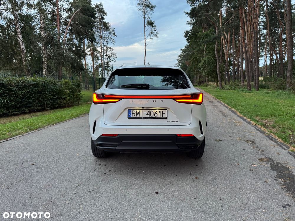 Lexus NX 350h Elegance 2WD - 7