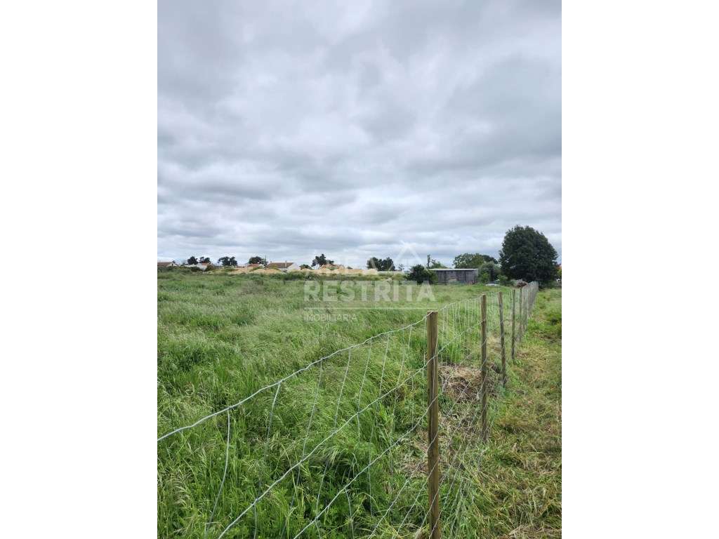 Terreno Venda Setúbal - Grande imagem: 5/14